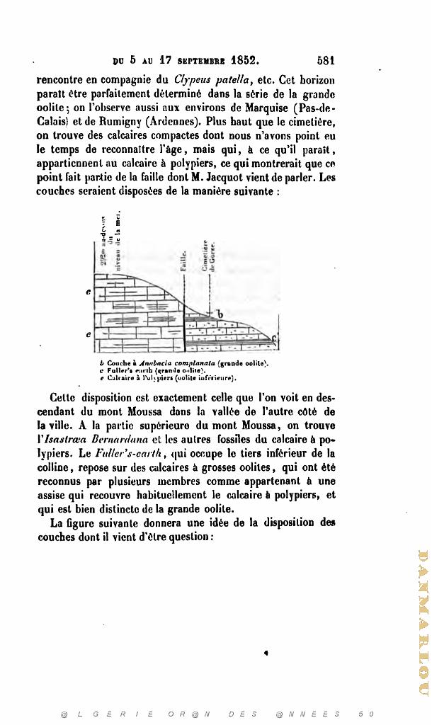 BULLETIN DE LA SOCIETE GEOLOGIQUE DE FRANCE 1852_000630.jpg